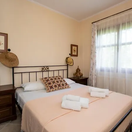 Traditional House